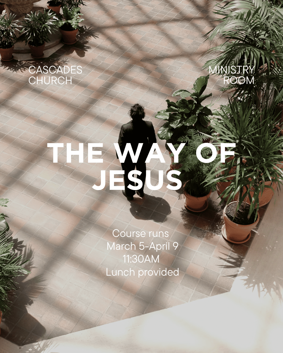 The Way of Jesus course